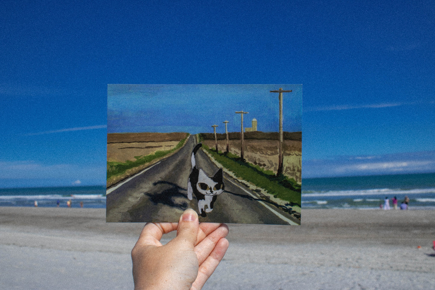 Cat on A Walk ★ November 2024 Postcard