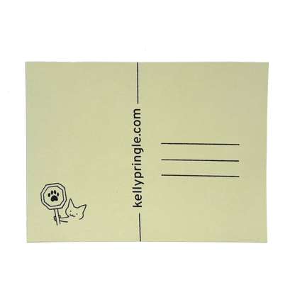 Meow Road Sign ★ March 2025 Postcard