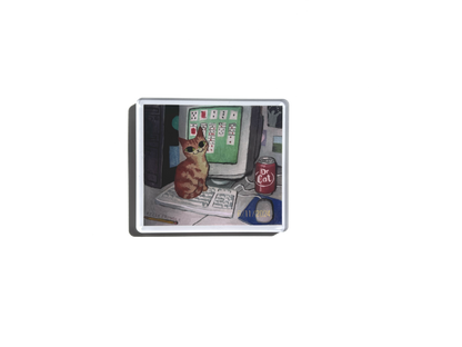 Solitaire Cat Magnet