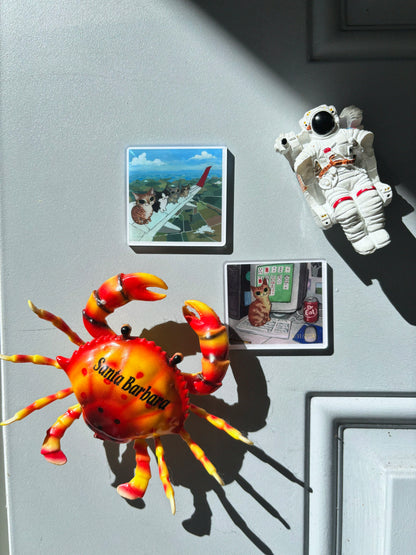 Cats on a Plane Magnet