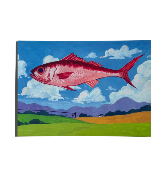 Fish in tha Sky ★ May 2024 Postcard